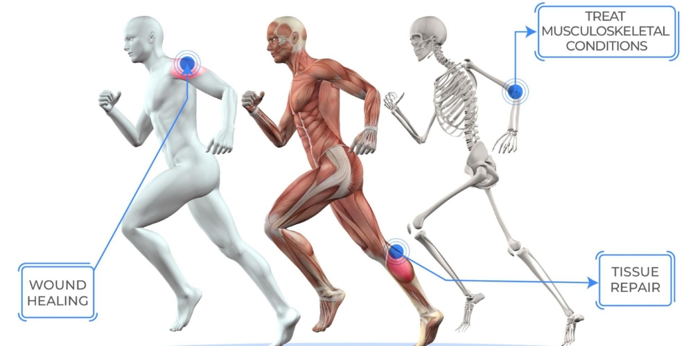 Growth Factors Therapy